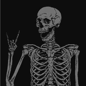 Meet your Posher, Harley